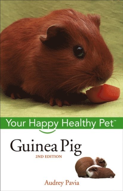 Audrey Pavia - Guinea Pig, E-bok