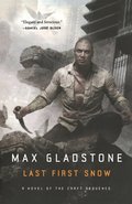 Last First Snow: A Novel of the Craft Sequence
