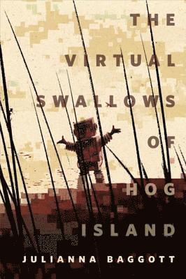 Julianna Baggott - Virtual Swallows of Hog Island, E-bok