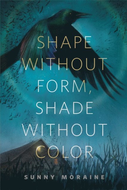 Sunny Moraine - Shape Without Form, Shade Without Color, E-bok