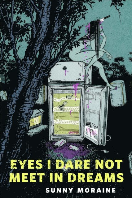 Sunny Moraine - Eyes I Dare Not Meet in Dreams, E-bok