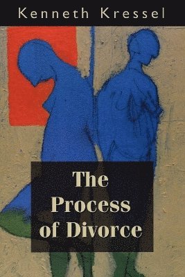 Kenneth Kressel - Process of Divorce, Häftad