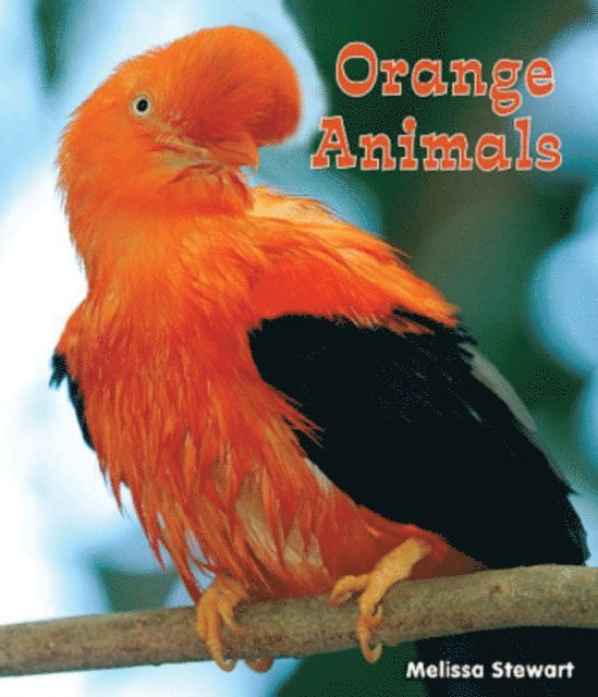 Melissa Stewart - Orange Animals, E-bok