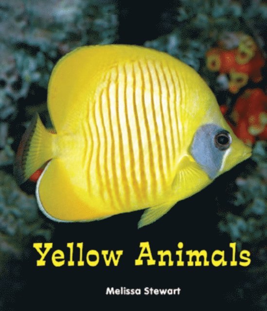 Melissa Stewart - Yellow Animals, E-bok