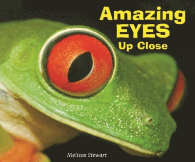 Melissa Stewart - Amazing Eyes Up Close, E-bok