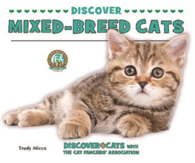 Trudy Micco - Discover Mixed-Breed Cats, E-bok