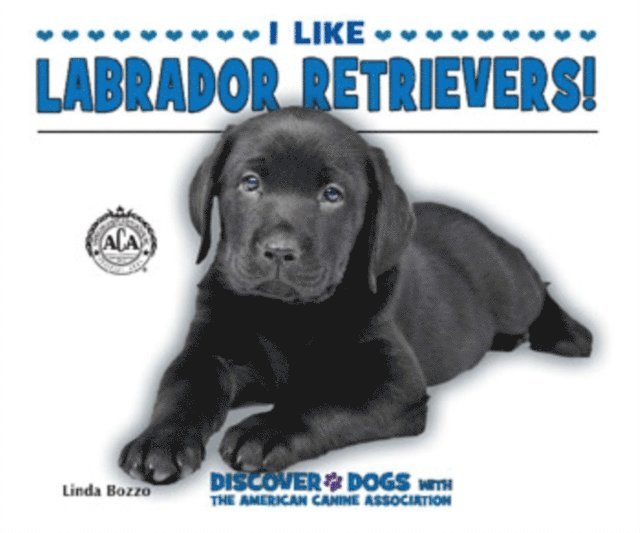 Linda Bozzo - I Like Labrador Retrievers!, E-bok