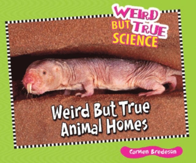 Carmen Bredeson - Weird But True Animal Homes, E-bok