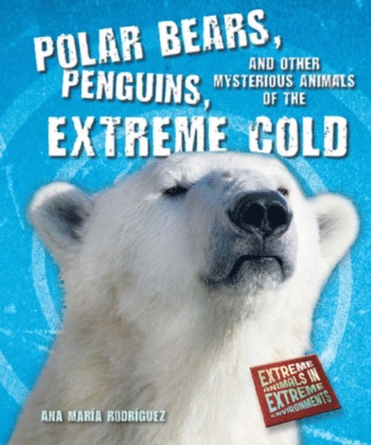 Ana Maria Rodriguez - Polar Bears, Penguins, and Other Mysterious Animals of the Extreme Cold, E-bok. Tillgänglighet: Lägg i varukorg