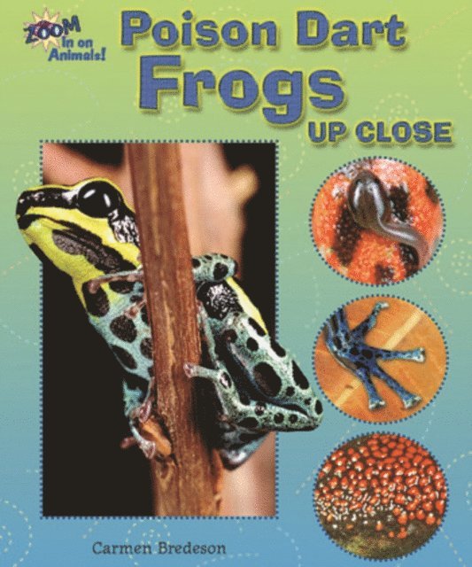 Carmen Bredeson - Poison Dart Frogs Up Close, E-bok