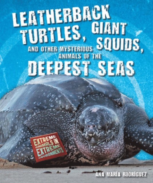 Ana Maria Rodriguez - Leatherback Turtles, Giant Squids, and Other Mysterious Animals of the Deepest Seas, E-bok. Tillgänglighet: Lägg i varukorg