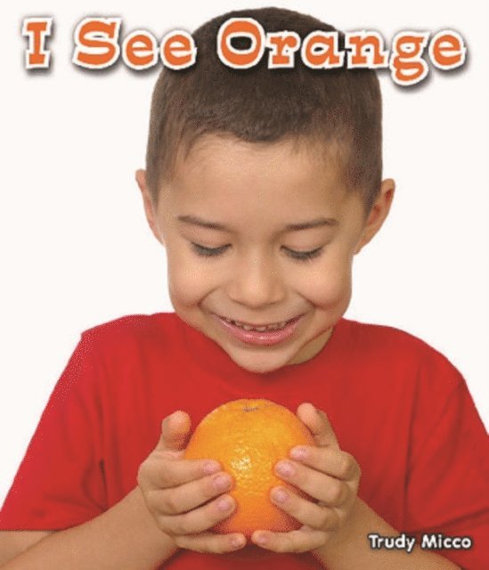 Trudy Micco - I See Orange, E-bok