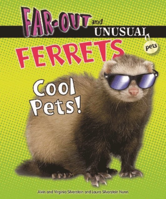 Laura Silverstein Nunn, Virginia Silverstein, Alvin Silverstein - Ferrets, E-bok