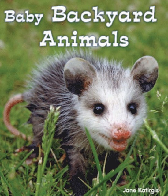 Jane Katirgis - Baby Backyard Animals, E-bok