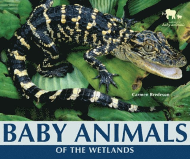 Carmen Bredeson - Baby Animals of the Wetlands, E-bok