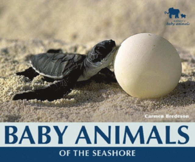 Carmen Bredeson - Baby Animals of the Seashore, E-bok