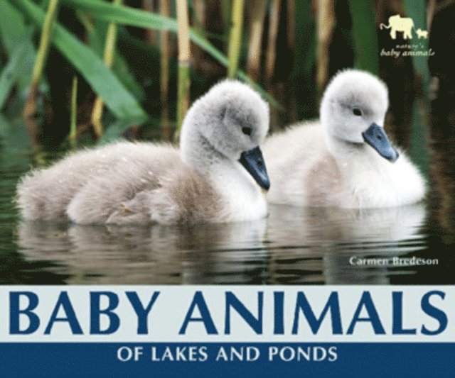 Carmen Bredeson - Baby Animals of Lakes and Ponds, E-bok