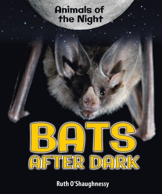 Ruth O'Shaughnessy - Bats After Dark, E-bok