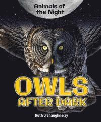 Ruth O'Shaughnessy - Owls After Dark, Häftad