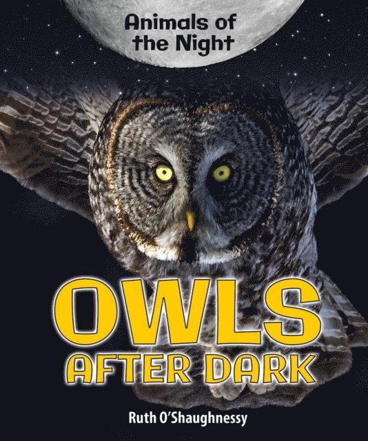 Ruth O'Shaughnessy - Owls After Dark, E-bok