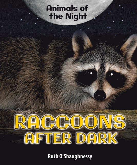Ruth O'Shaughnessy - Raccoons After Dark, E-bok