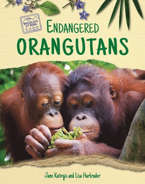 Lisa Harkrader, Jane Katirgis - Endangered Orangutans, E-bok
