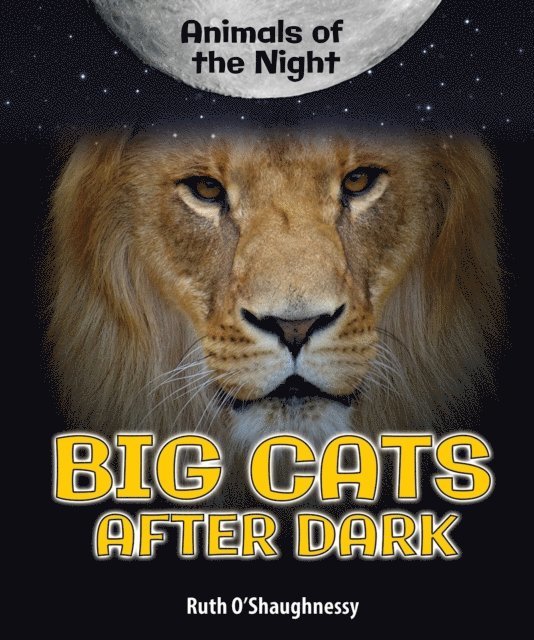 Ruth O'Shaughnessy - Big Cats After Dark, E-bok
