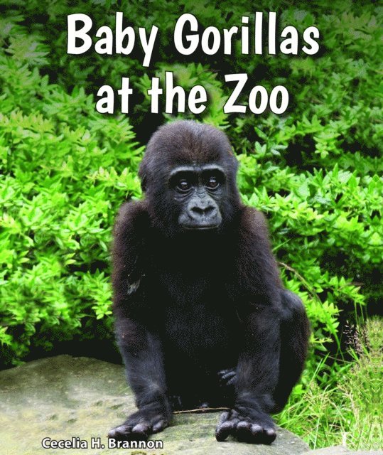 Cecelia H. Brannon - Baby Gorillas at the Zoo, E-bok