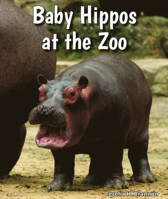 Cecelia H. Brannon - Baby Hippos at the Zoo, E-bok