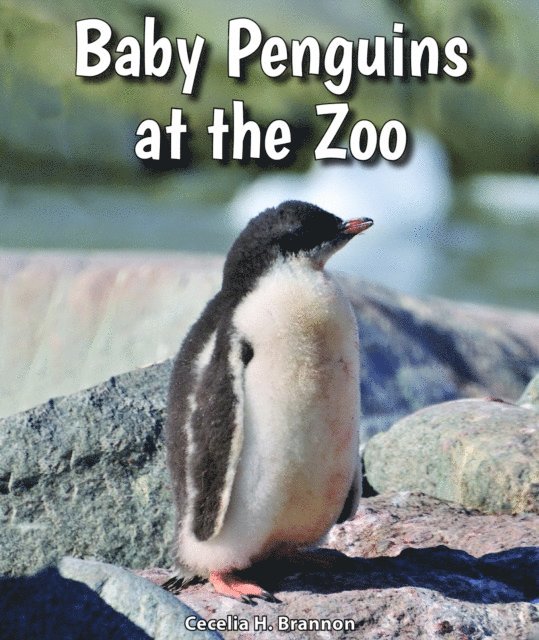 Cecelia H. Brannon - Baby Penguins at the Zoo, E-bok