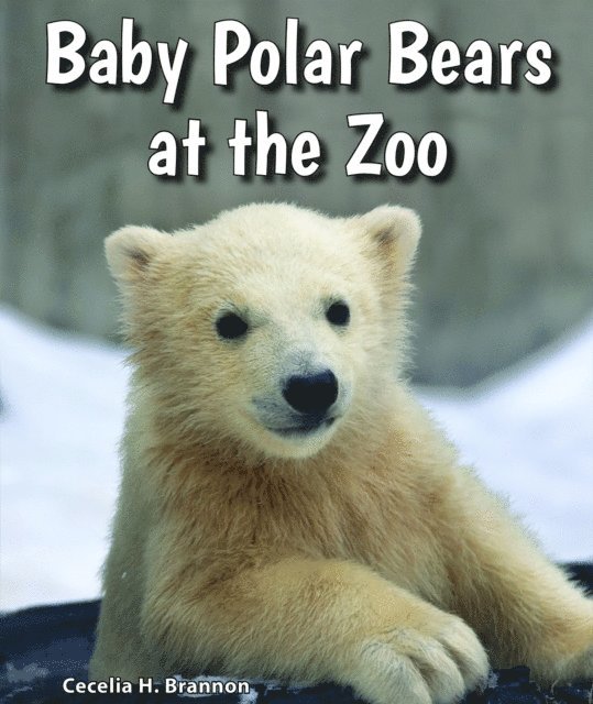 Cecelia H. Brannon - Baby Polar Bears at the Zoo, E-bok