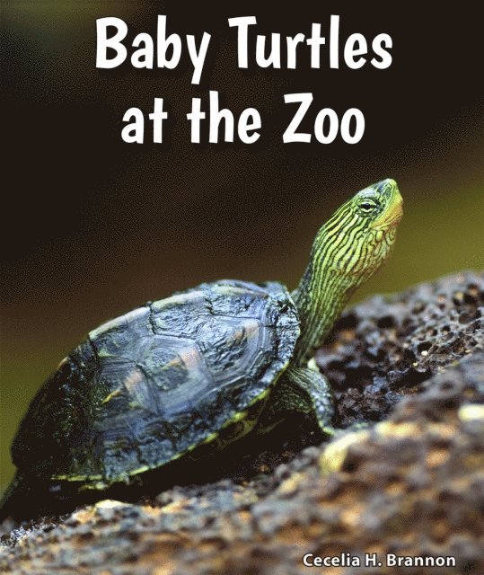 Cecelia H. Brannon - Baby Turtles at the Zoo, E-bok