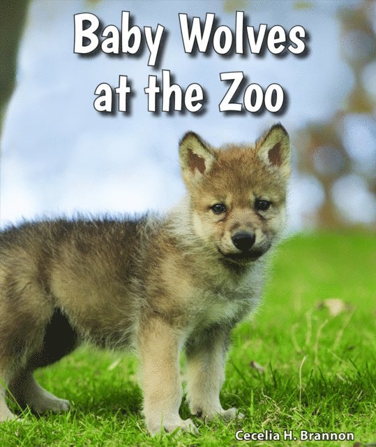 Cecelia H. Brannon - Baby Wolves at the Zoo, E-bok