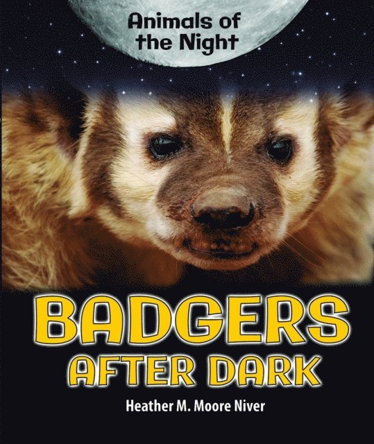 Heather Moore Niver - Badgers After Dark, E-bok