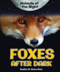 Foxes After Dark