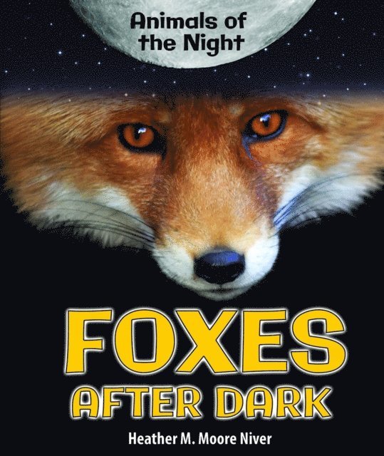 Heather Moore Niver - Foxes After Dark, E-bok