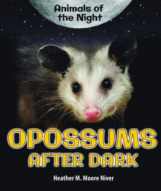 Heather Moore Niver - Opossums After Dark, E-bok