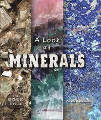 Cecelia H. Brannon - A Look at Minerals, Häftad