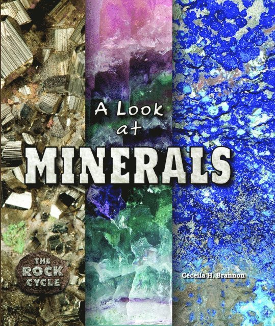 Cecelia H. Brannon - Look at Minerals, E-bok