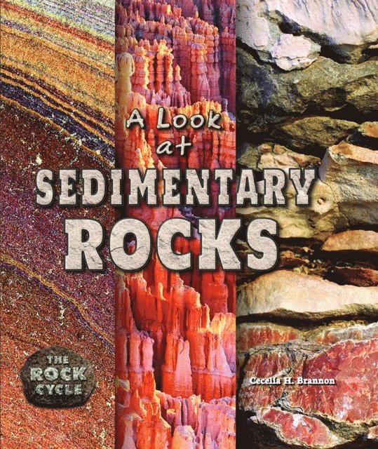 Cecelia H. Brannon - Look at Sedimentary Rocks, E-bok. Tillgänglighet: Lägg i varukorg