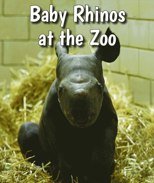 Cecelia H. Brannon - Baby Rhinos at the Zoo, E-bok. Tillgänglighet: Lägg i varukorg