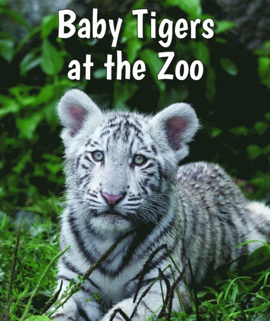 Cecelia H. Brannon - Baby Tigers at the Zoo, E-bok. Tillgänglighet: Lägg i varukorg