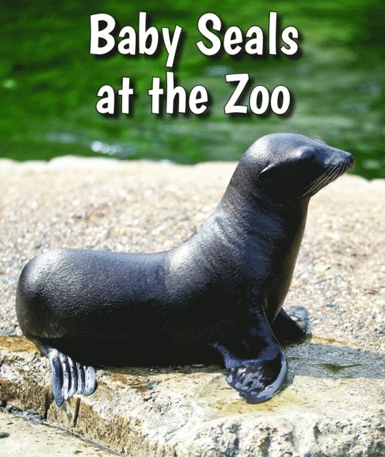 Cecelia H. Brannon - Baby Seals at the Zoo, E-bok. Tillgänglighet: Lägg i varukorg