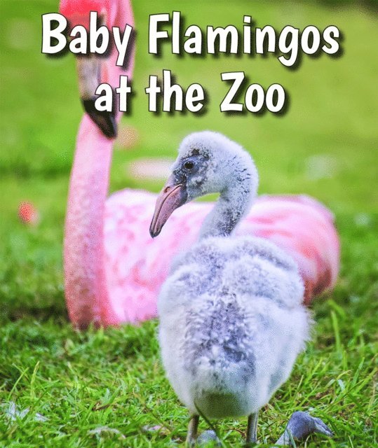 Cecelia H. Brannon - Baby Flamingos at the Zoo, E-bok. Tillgänglighet: Lägg i varukorg