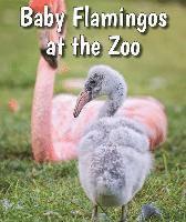 Cecelia H. Brannon - Baby Flamingos at the Zoo, Inbunden