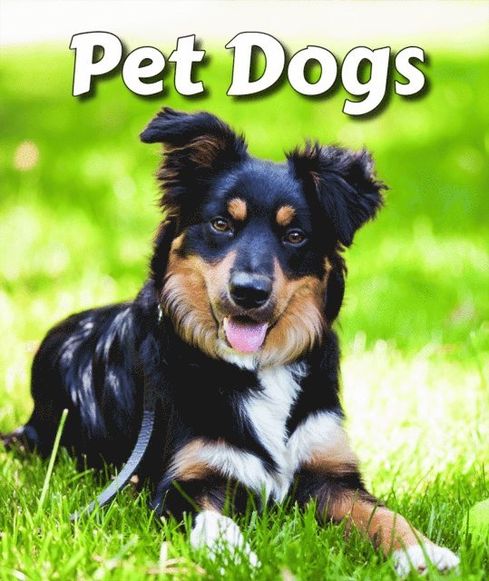 Cecelia H. Brannon - Pet Dogs, E-bok. Tillgänglighet: Lägg i varukorg
