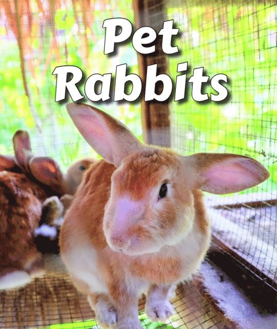Cecelia H. Brannon - Pet Rabbits, E-bok. Tillgänglighet: Lägg i varukorg
