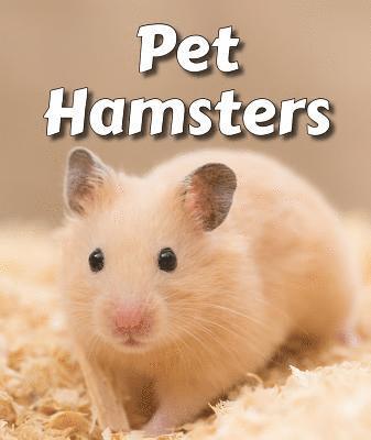 Cecelia H. Brannon - Pet Hamsters, Häftad. Tillgänglighet: Lägg i varukorg