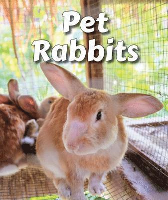 Cecelia H. Brannon - Pet Rabbits, Häftad. Tillgänglighet: Lägg i varukorg
