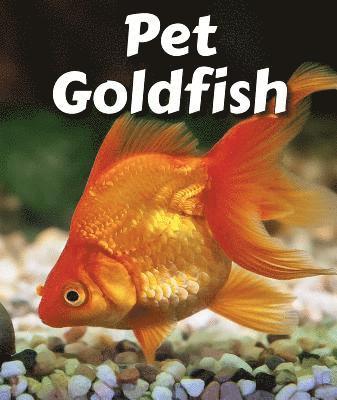 Cecelia H. Brannon - Pet Goldfish, Häftad. Tillgänglighet: Lägg i varukorg